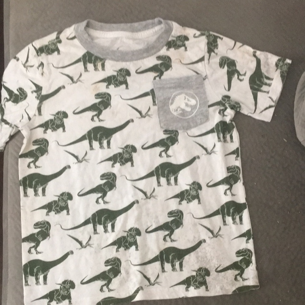 Kids Dinosaur Pocket Tee - White and Green